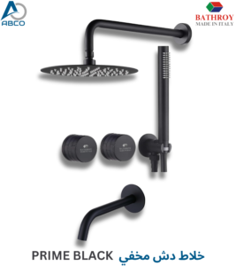 Concealed shower set