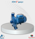 Water Pump 1 HP Italy Bathroy - دينمو الماء 1 حصان ايطالي باثروئي